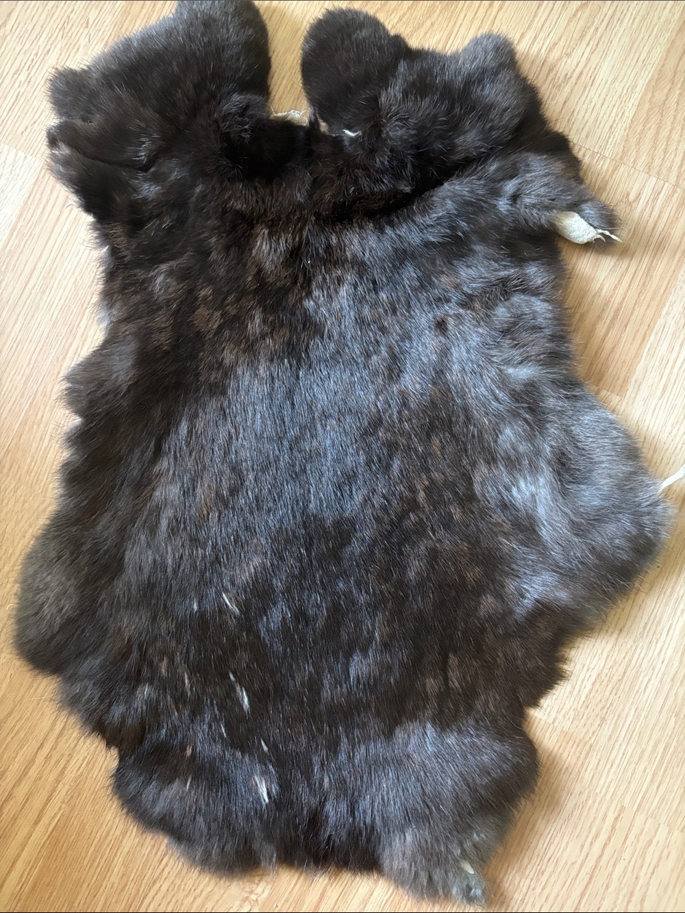 B0133 rabbit pelt